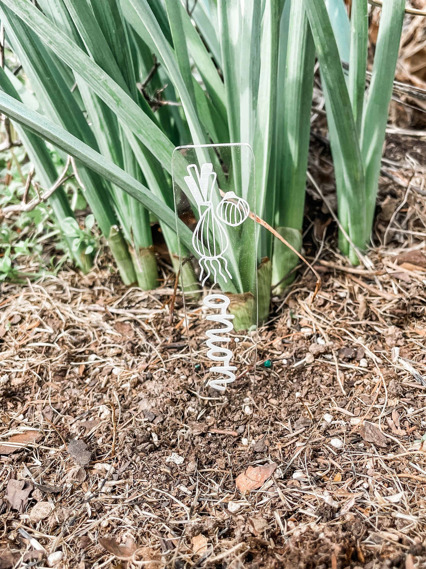 Veggie Garden Markers